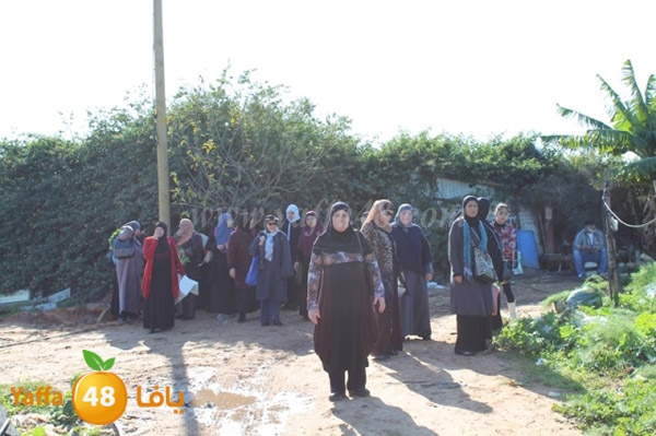 re7la tolkarem (3).JPG